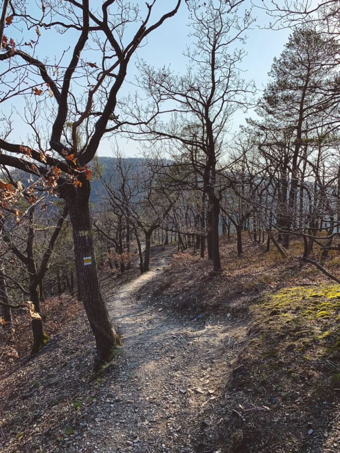 Šance