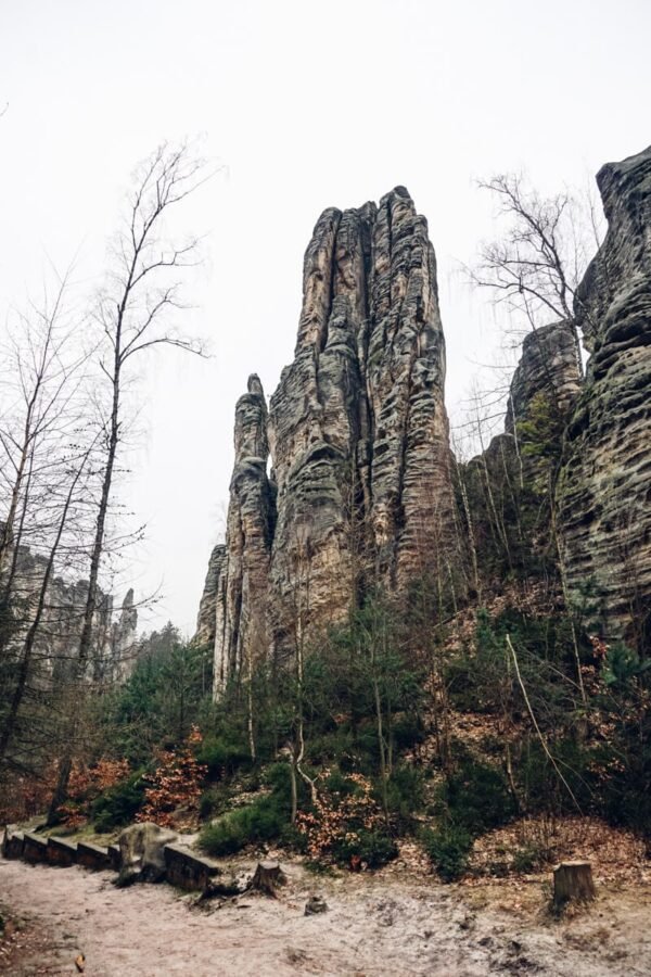 Prachov Cliffs (Prachovské skály)