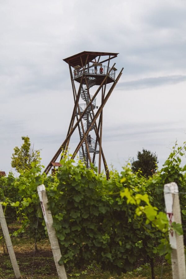 Lookout tower Slunečná