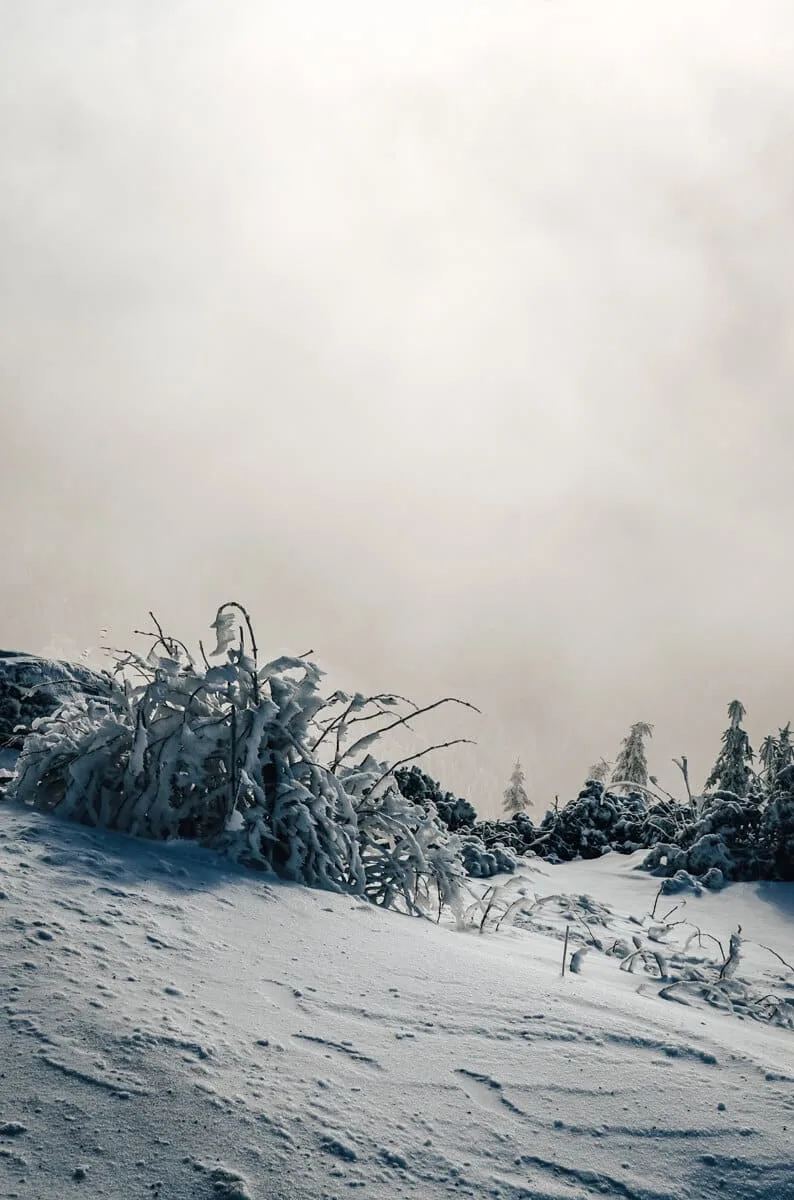 Hike to Ještěd with a stop at Červený kamen
