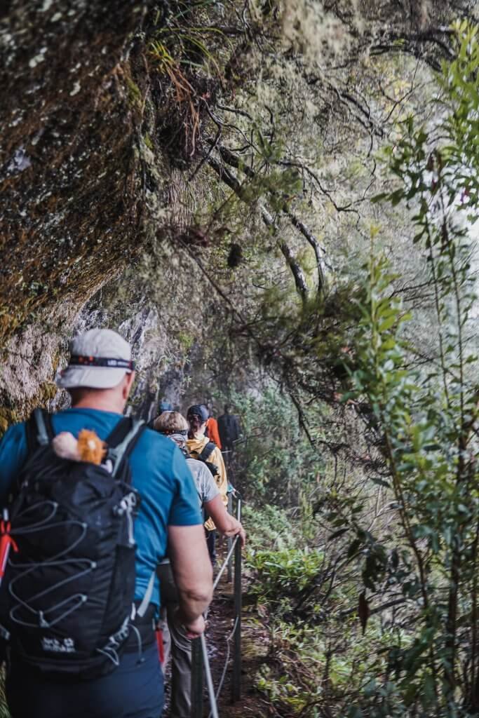 Major change for Madeira hikers: Mandatory reservations and €3 fee start in 2026