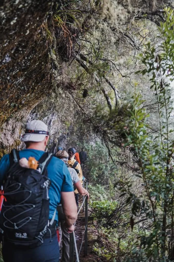 Major change for Madeira hikers: Mandatory reservations and €3 fee start in 2026