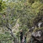 Madeira, ultimate guide: places, trips and tips