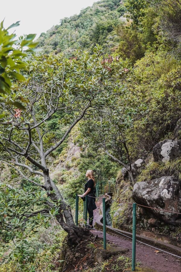 Levada do Moinho