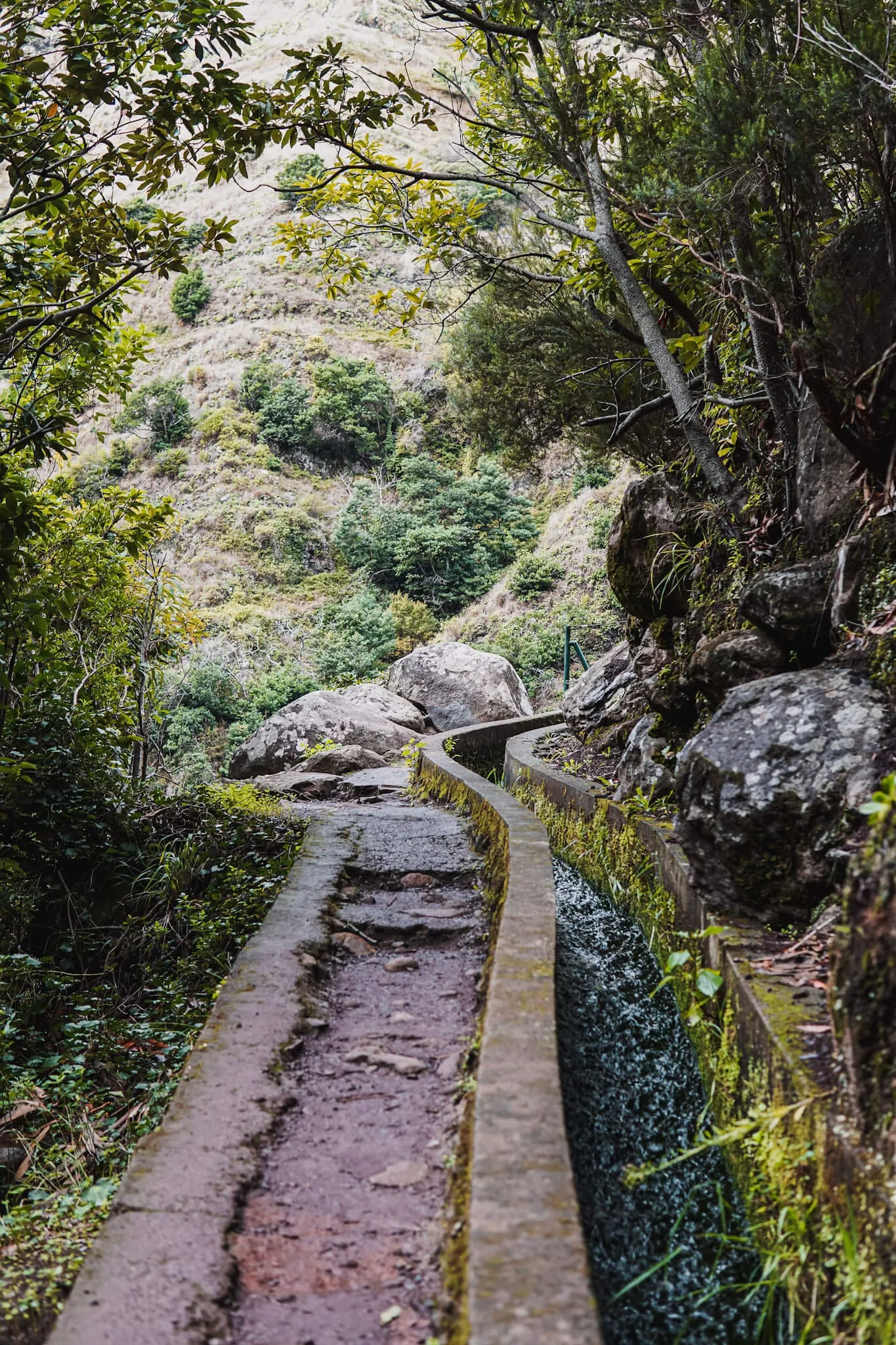 Major change for Madeira hikers: Mandatory reservations and €3 fee start in 2026