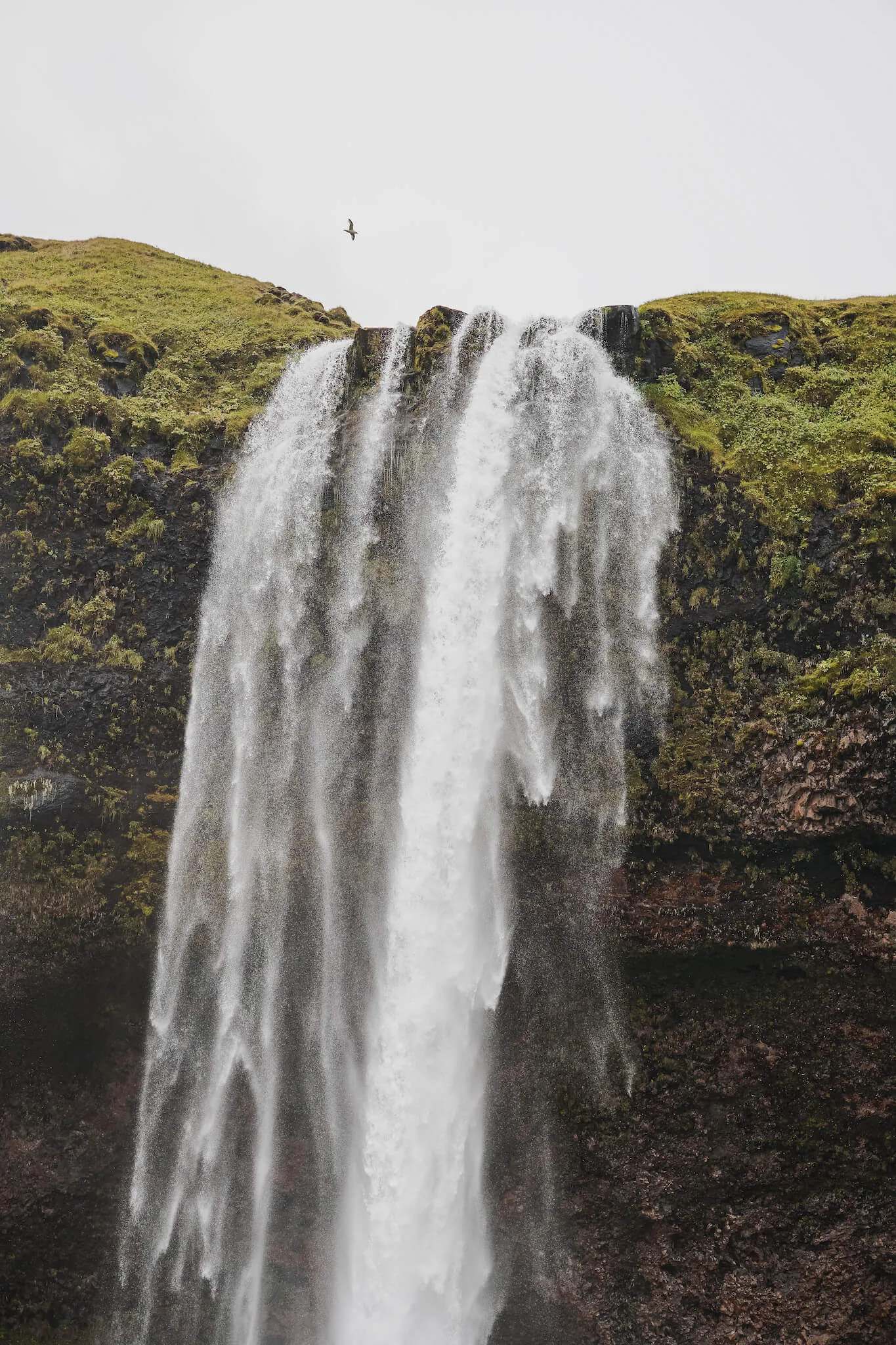 Seljalandsfoss