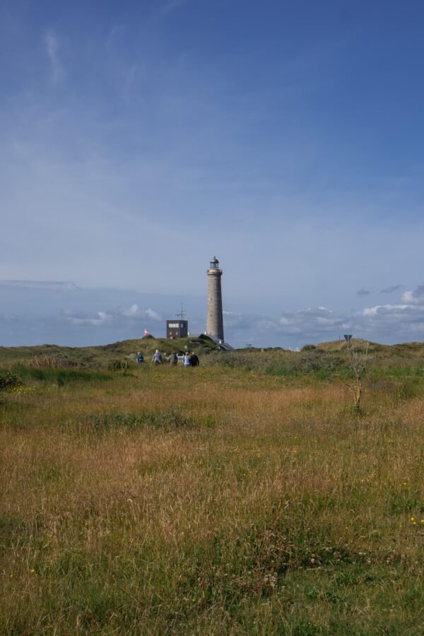 Grenen