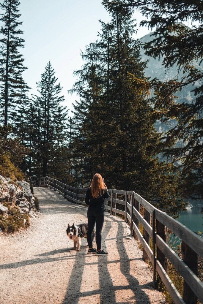 Itálie se psem: Dolomity, Lago di Garda i k moři. Jaká platí pravidla?