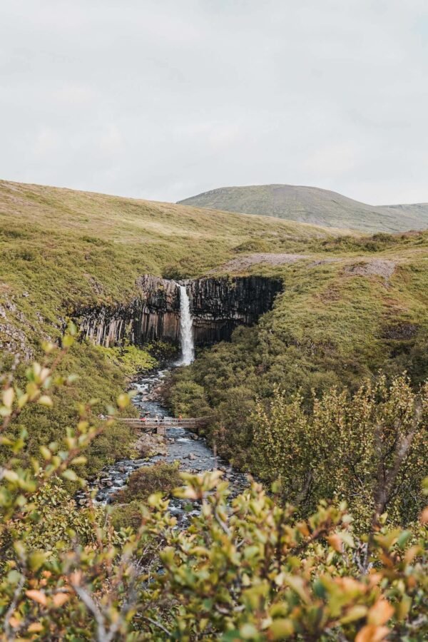Svartifoss