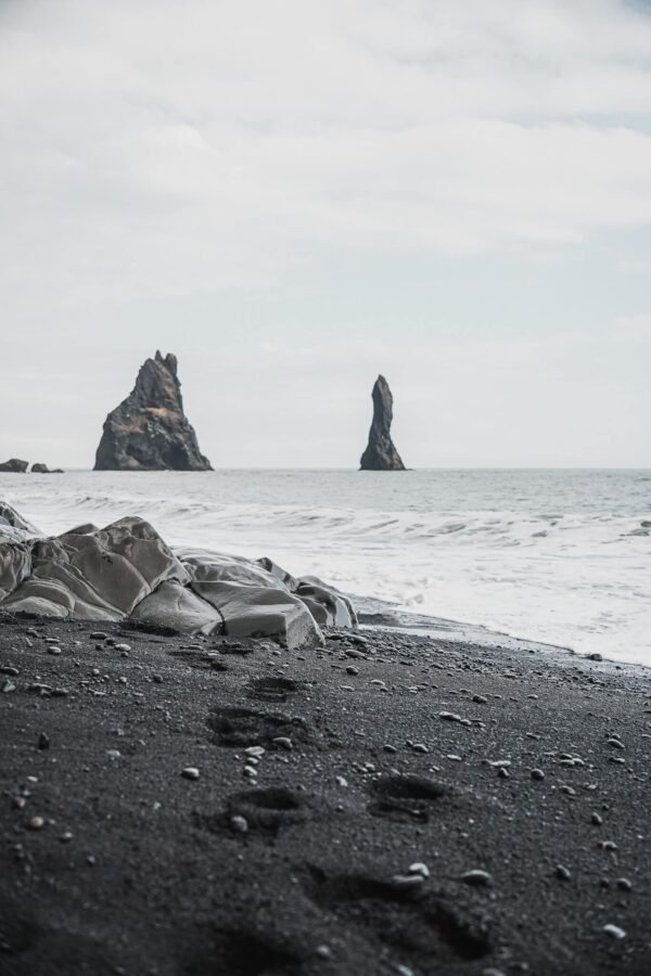 Reynisjara