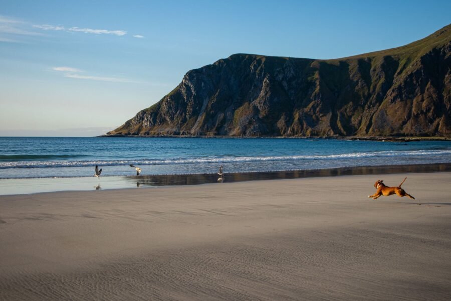 Skagsanden beach