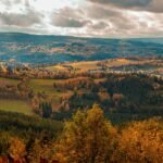 Sumava for a long weekend with a van