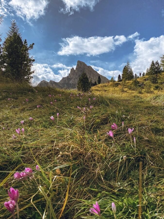 Passo di Falzarego