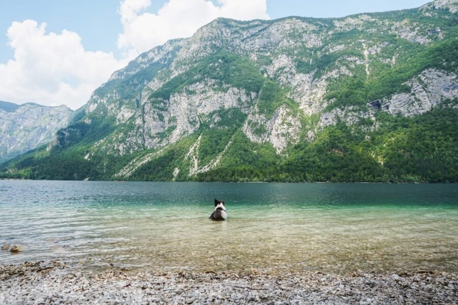 Bohinjské jezero
