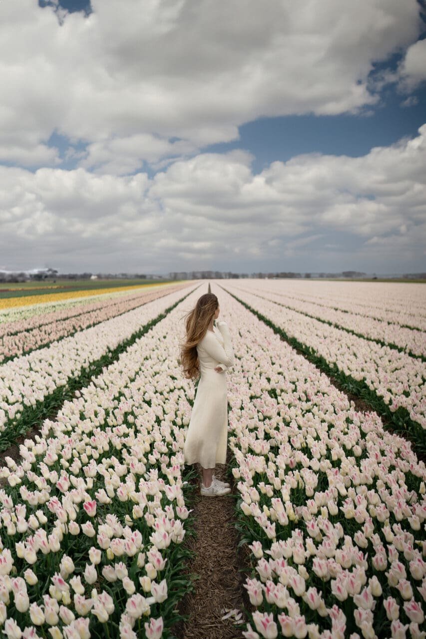 Amsterdam as one of the most beautiful cities in Europe, with tulips in spring