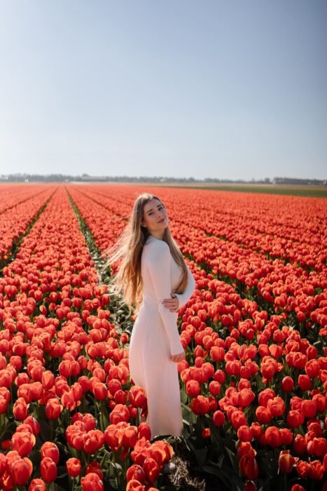 Z Amsterdamu za rozkvetlými tulipány