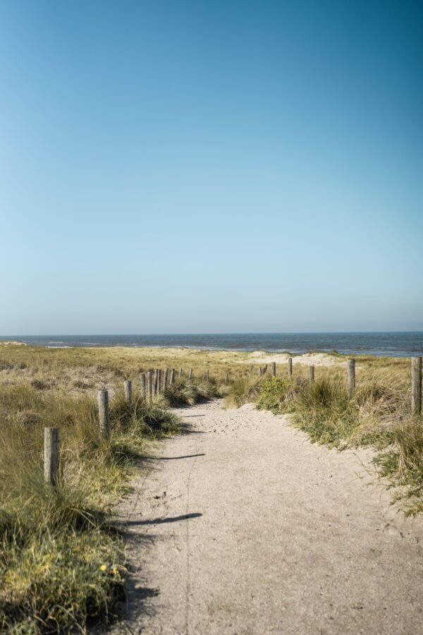 Hondsbossche Dunes