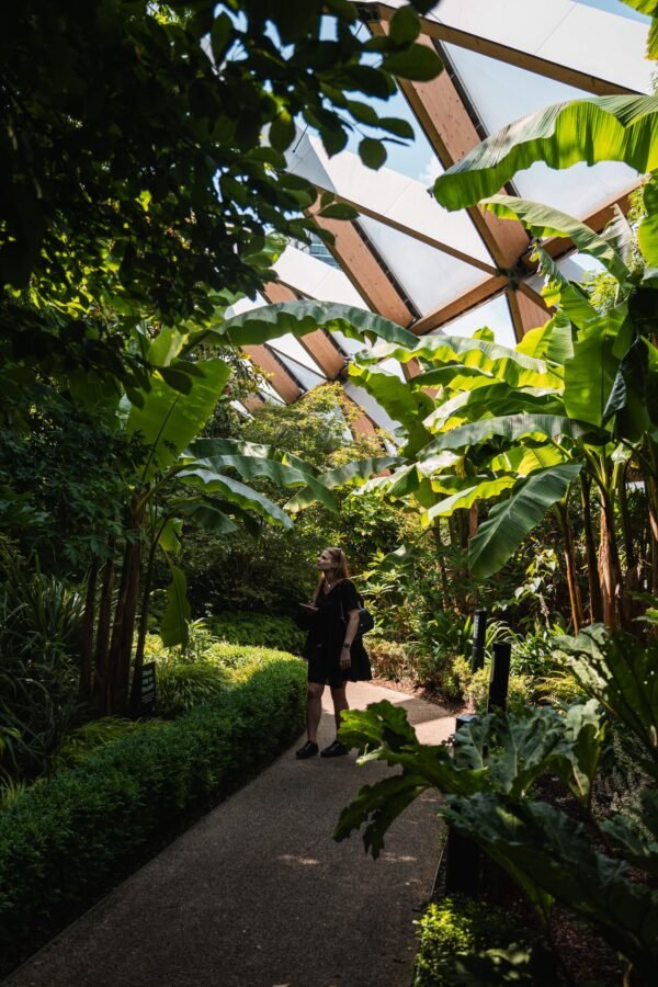Crossrail Place Roof Garden