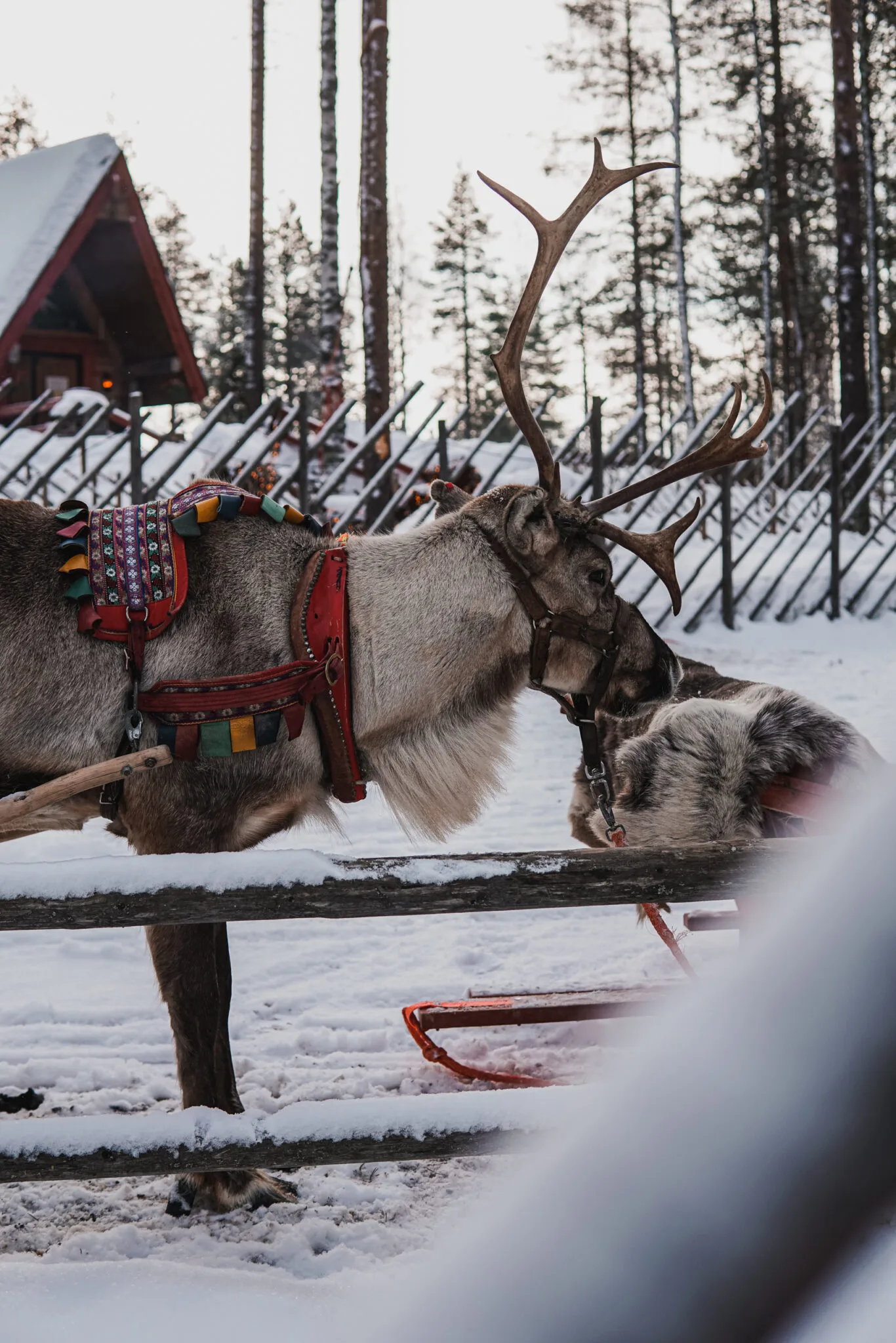 Santa Claus Village - Rovaniemi
