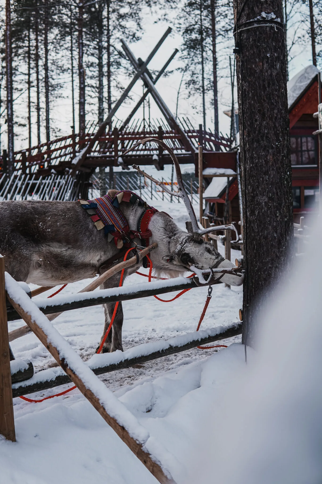 Santa Claus Village - Rovaniemi