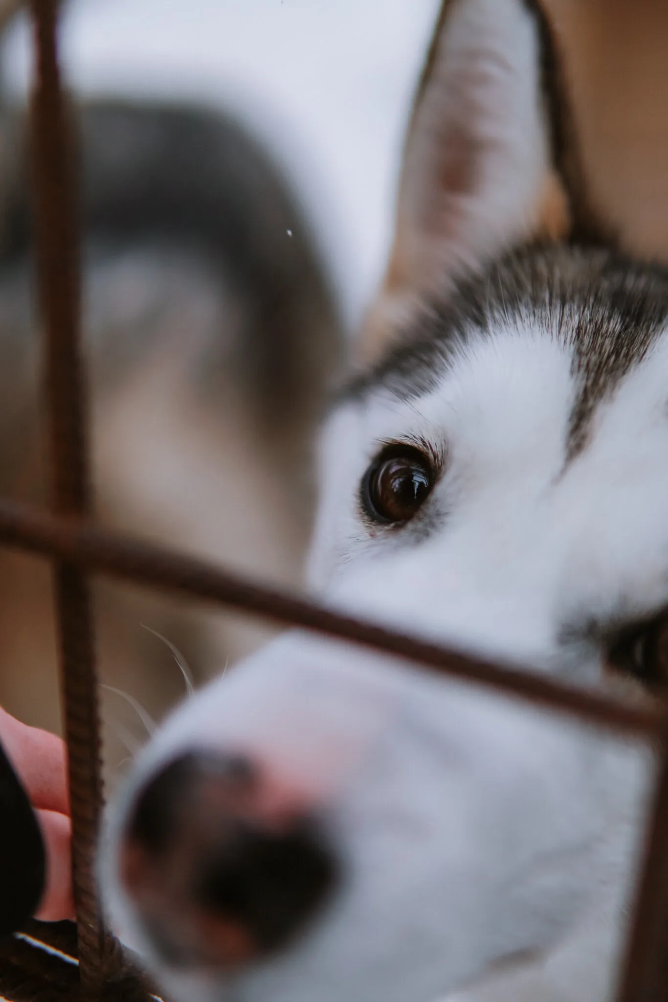 Santa Claus Village - Rovaniemi