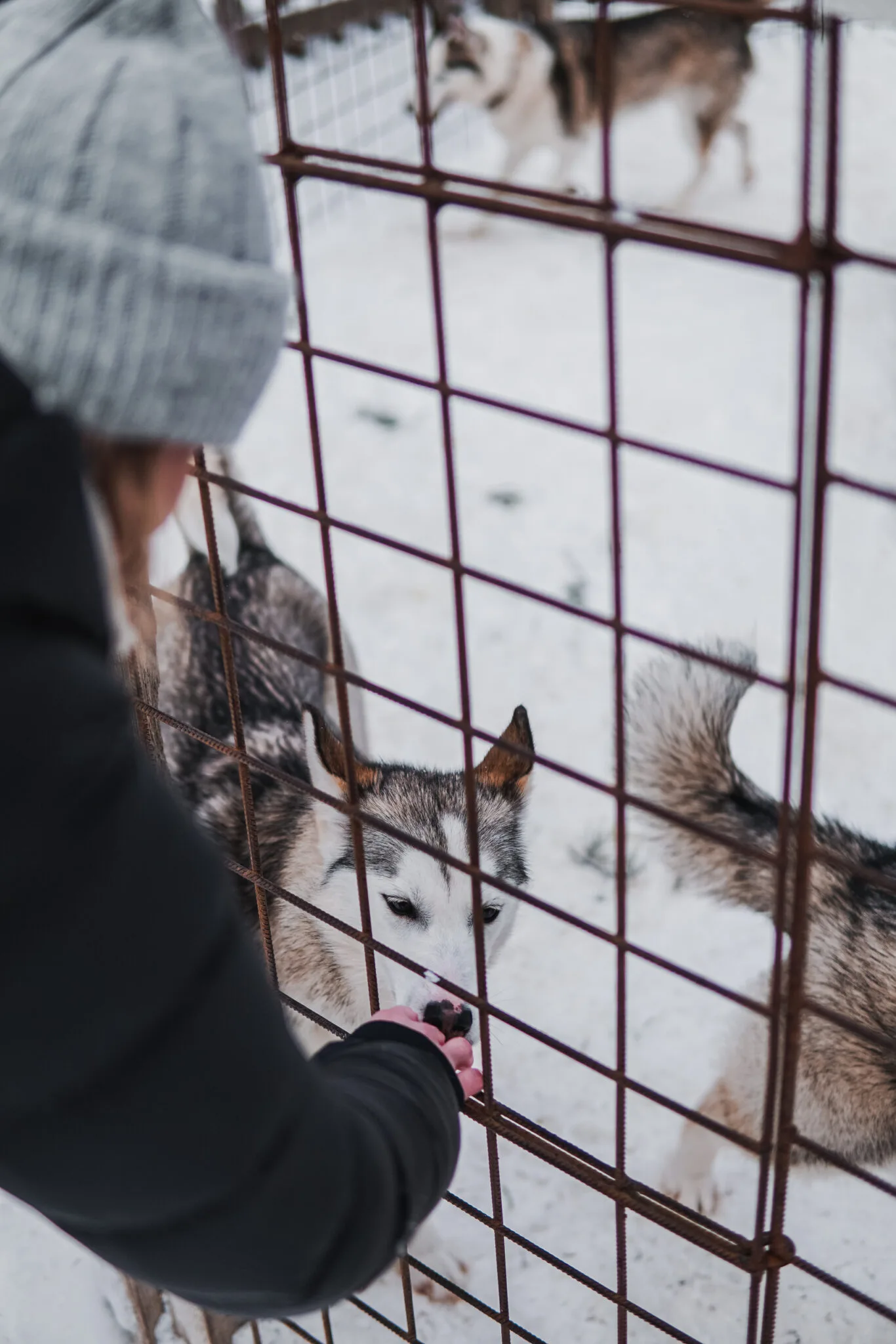 Santa Claus Village - Rovaniemi