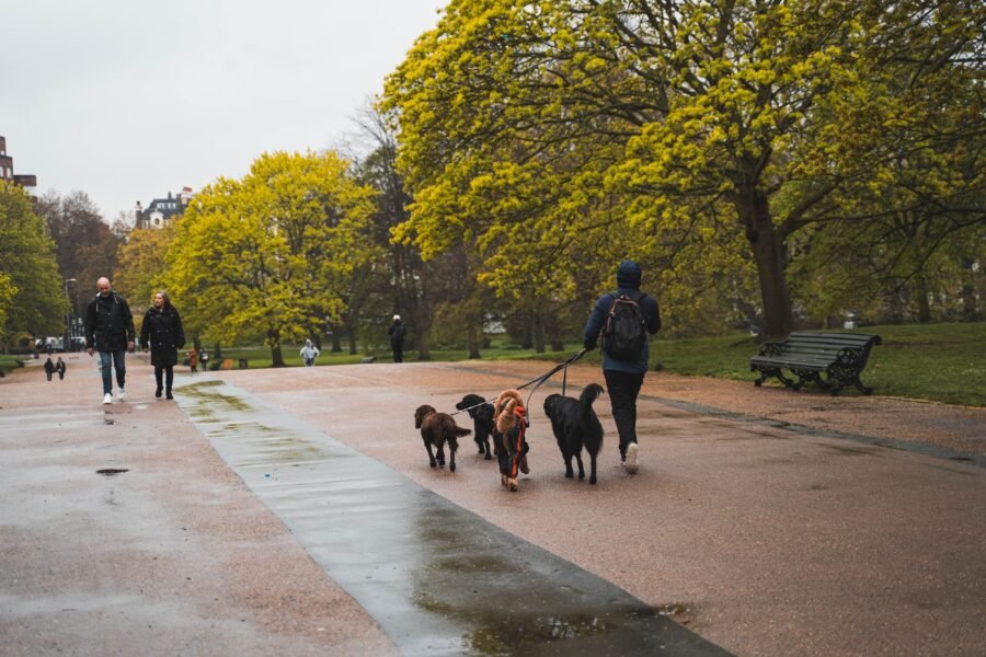 Hyde park