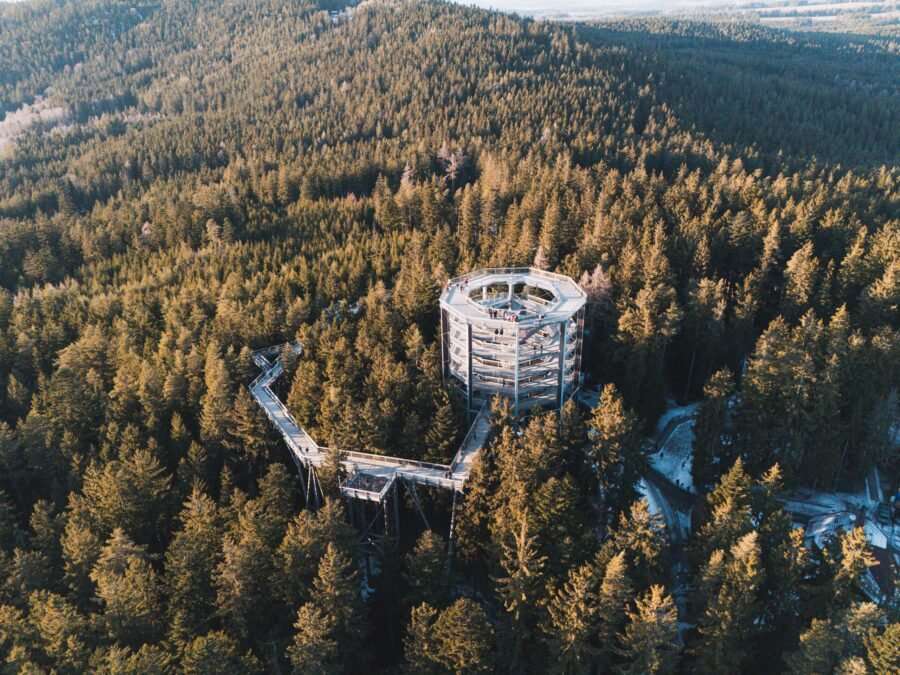 Trail through the treetops Lipno