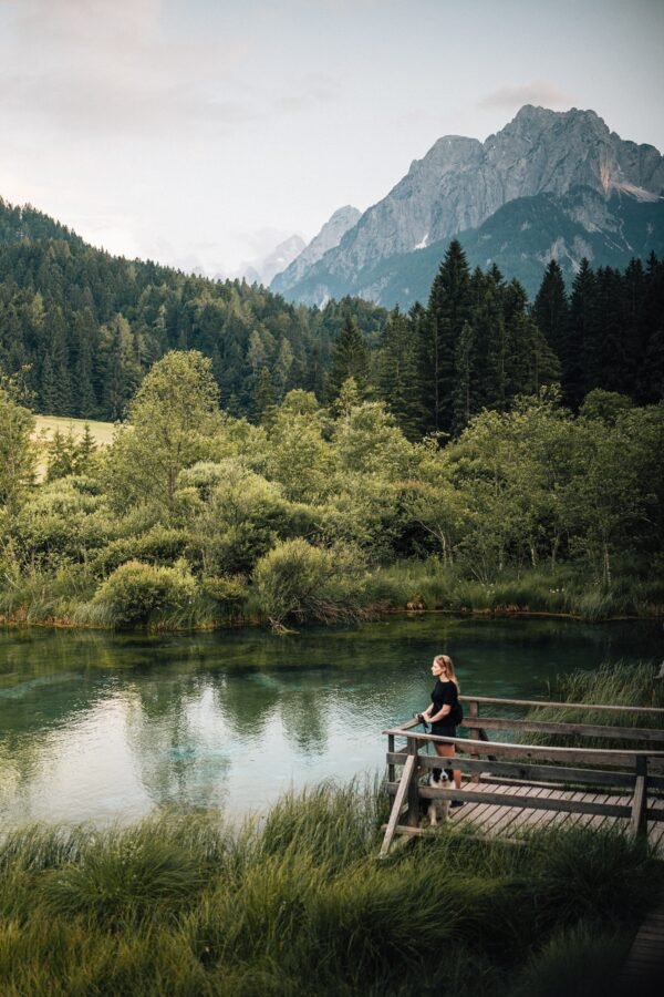 Zelenci
