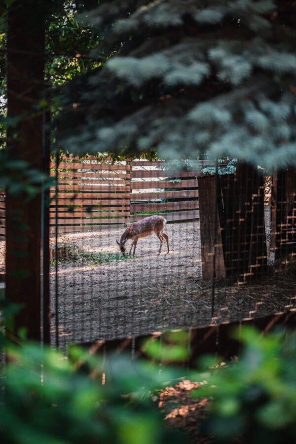 ZOOkoutek Malá Chuchle