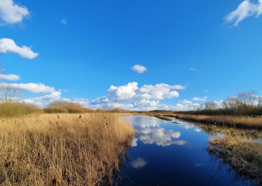 Winter Wonderland Rieselfelder