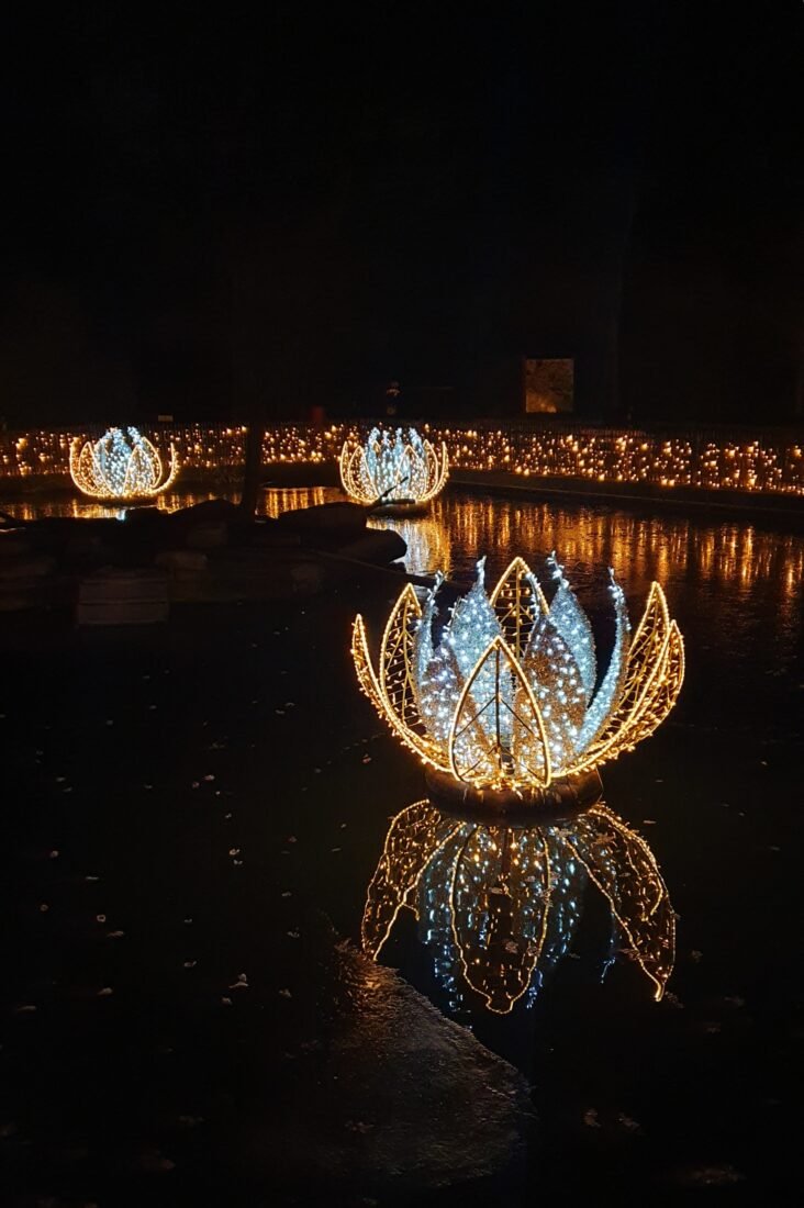 XMAS Lights Allwetterzoo Münster - Münster