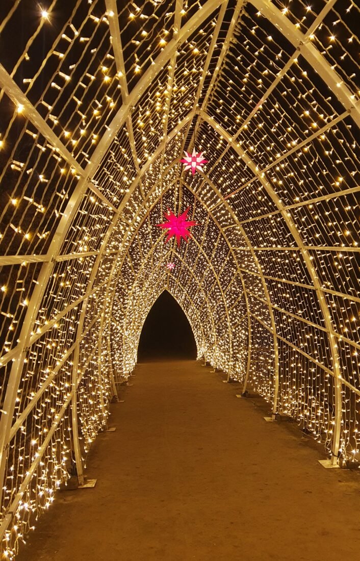 XMAS Lights Allwetterzoo Münster - Münster