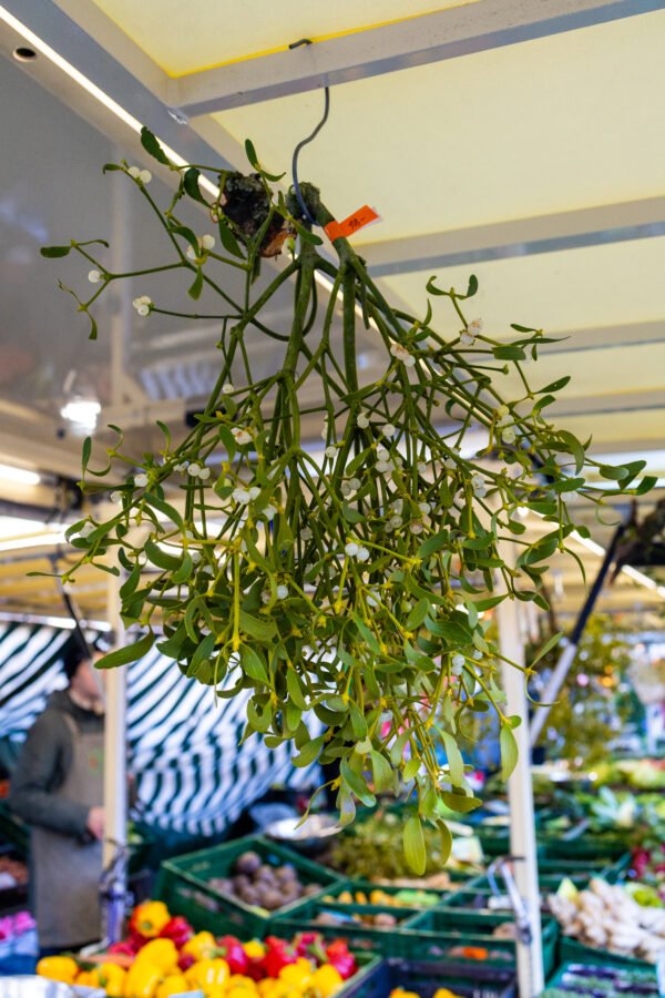 Weekly market on Domplatz