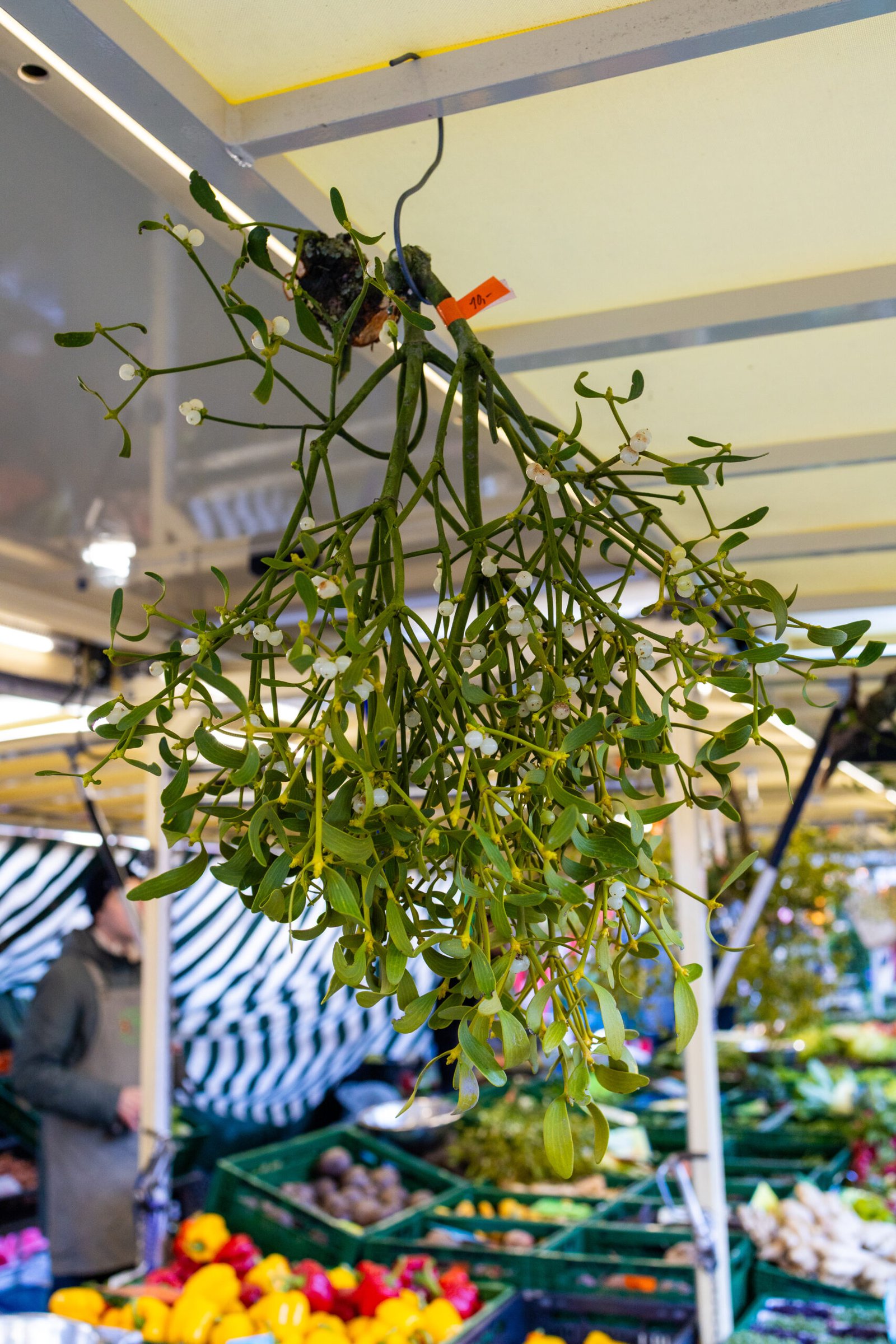 Weekly market on Domplatz