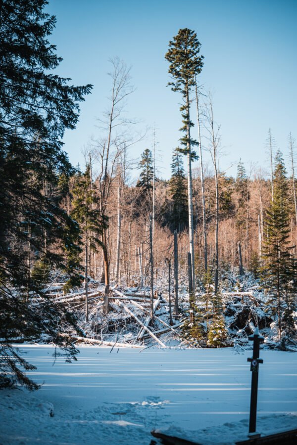 Boubínské jezírko