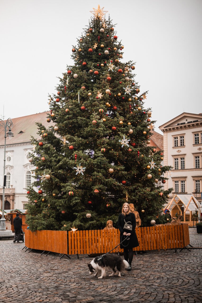 Christmas in Brno 2025: the best gourmet markets and a route not to be missed