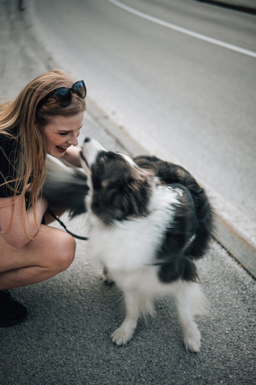 Slovenia with dog 2026: Complete guide and tips for a dog-friendly holiday