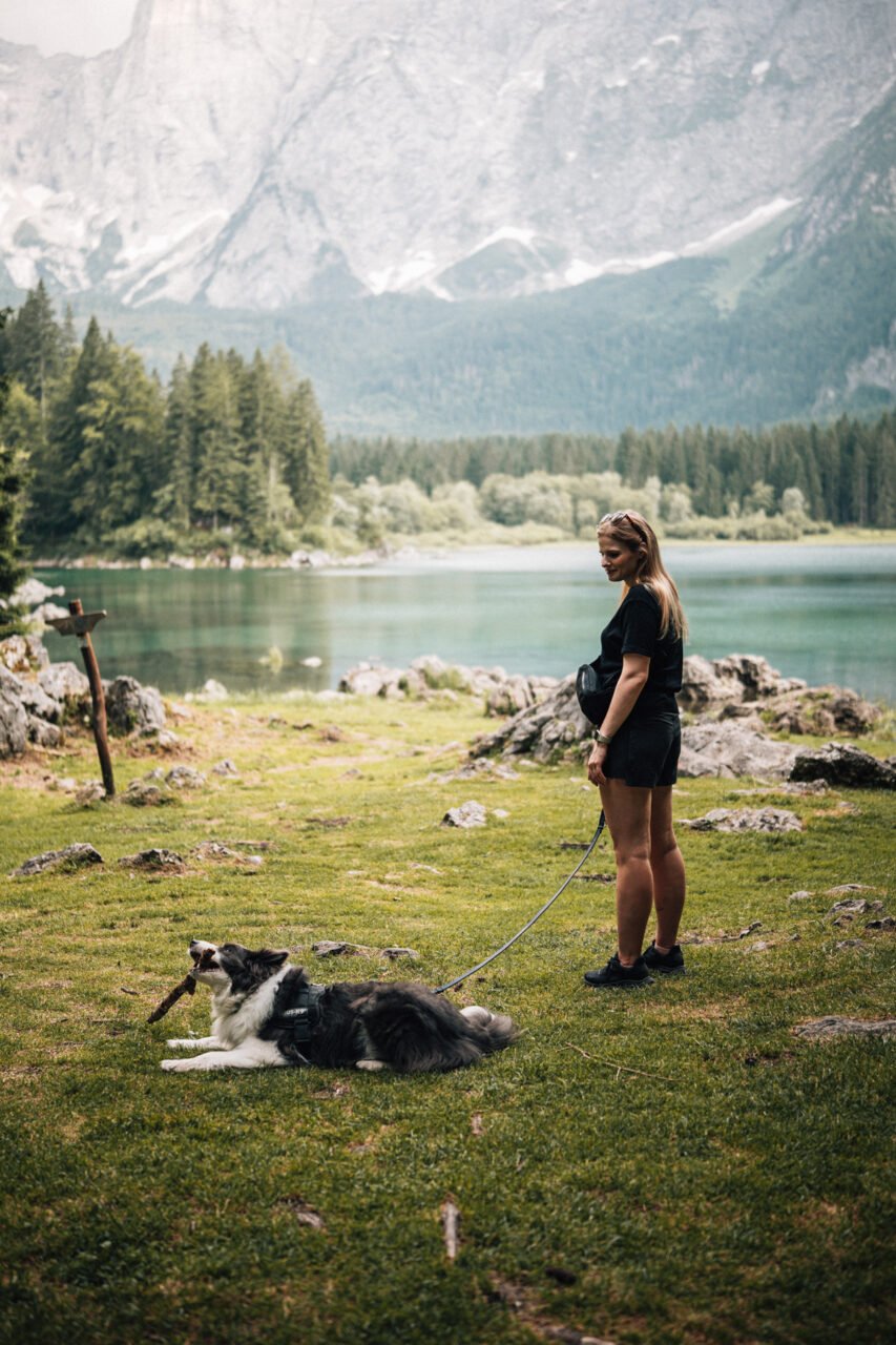 Slovenia with dog 2026: Complete guide and tips for a dog-friendly holiday
