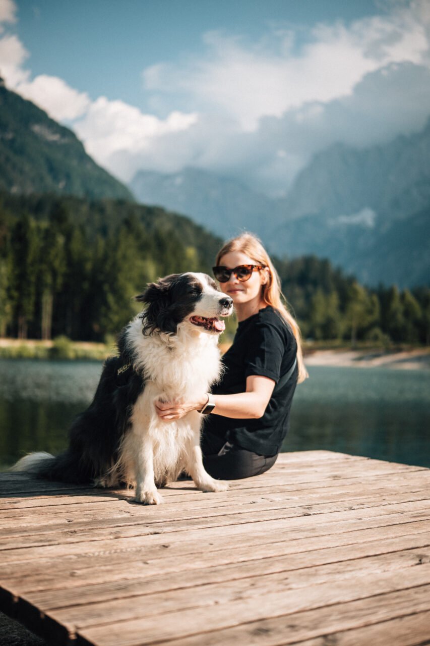 Slovenia with dog 2026: Complete guide and tips for a dog-friendly holiday