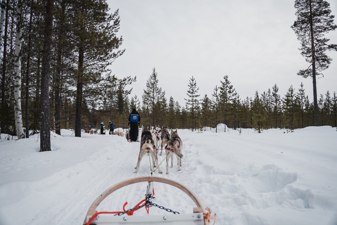 Direct flight from Prague to Lapland: Eurowings opens a route to Rovaniemi